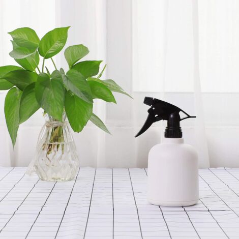 bio saatgut kaufen BIO-Saatgut-Set Teekräuter online Deko für Zuhause kaufen