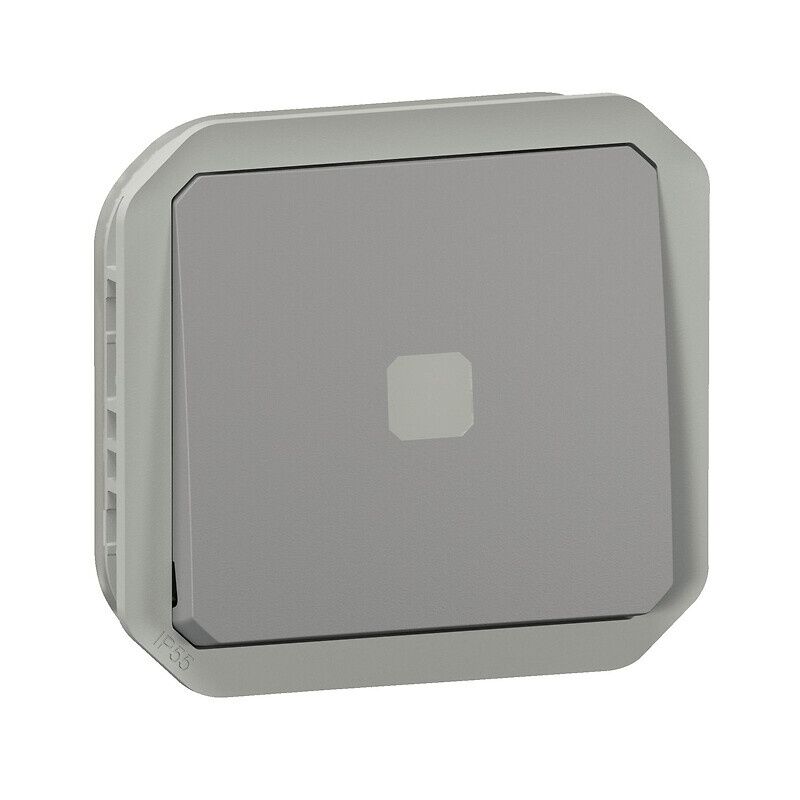 Interrupteur temporisé lumineux étanche Plexo livré complet avec voyant  pour montage en apparent gris - particulier