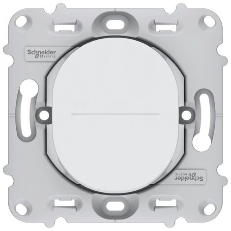 Interrupteur va-et-vient double - 10A - SCHNEIDER OVALIS - blanc