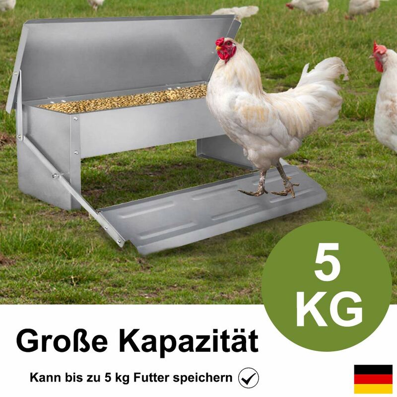 Safeed: Nouvelle mangeoire automatique pour poules anti-oiseaux et  anti-rats - COPELE