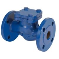 Valvola di ritegno a clapet orizzontale in ghisa serie scv-50 pn16 dn50 AMBRA WATER