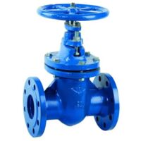Valvola a saracinesca in ghisa a corpo ovale serie gvf-45 pn16 dn100 AMBRA WATER