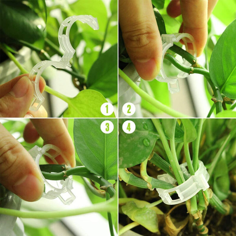 120 Attaches Pour Plantes Grimpantes - Lot De Pinces Vertes En Plastique, Pour Murs, Clôtures, Intérieur/extérieur