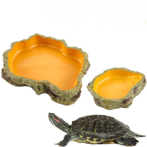 LAOA Accessoire Terrarium Reptile 2 pièces gamelle Reptile 2 Pinces à Alimentation Longue Acier Inoxydable Brucelles incurvées Droites Convient Geckos, tarentules, Dragons barbus, Tortues (1/5)