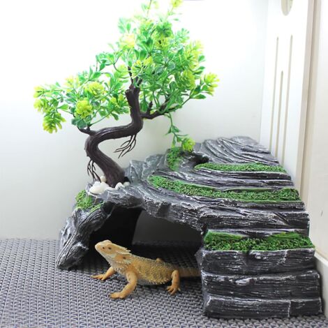 Aquarium/habitat Pour Tortues En PP - Dimensions 34x19x20cm, Vert, Pour Reptiles