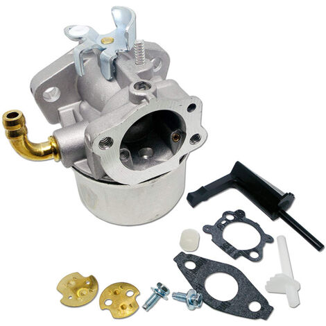 Carburateur DOLASO pour Briggs & Stratton 591299 791991 693 (1/5)