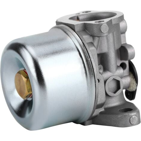 SJLERST Carburateur pour Briggs & Stratton Kit de Remplacement avec Joint torique 799868 498254 497347 497314 498170 799872 Carb 50-657 Accessoires