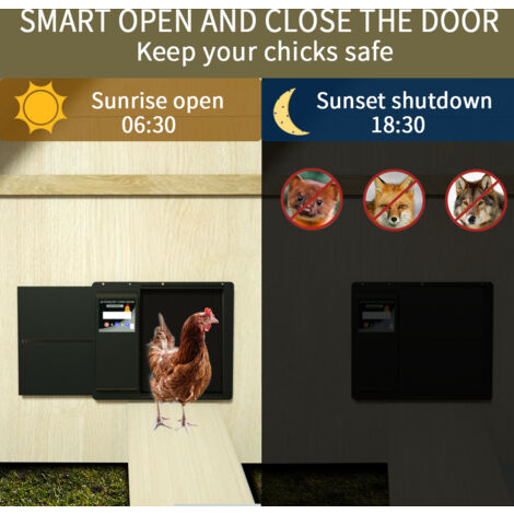Porte Automatique Poulailler - Aluminium - Minuterie LED - Batterie AA - Protection Anti-Pincement - Pour Poules, Lapins