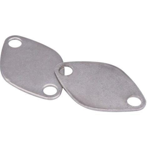 Jeffergarden Kit de Plaque d'Obturation de Valve avec Joint 2Pcs Plaque d'obturateur de Vanne EGR Valve Blanking Bloc Assiettes Kit pour Espace Laguna Master Trafic Movano