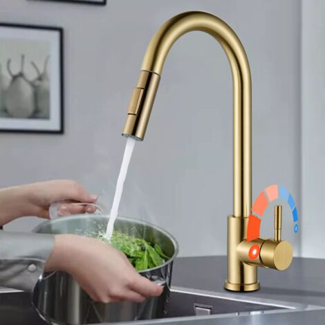 Robinet de Cuisine doré - Extensible avec Douchette Mitigeur Évier Rotatif à 360° -2 Modes de Pulvérisation Mitigeur Cuisine
