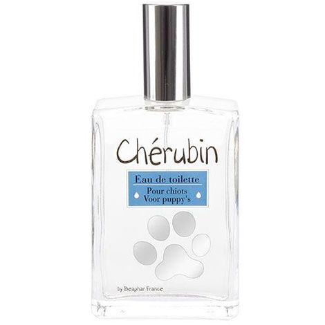 parfum pour chien pas cher