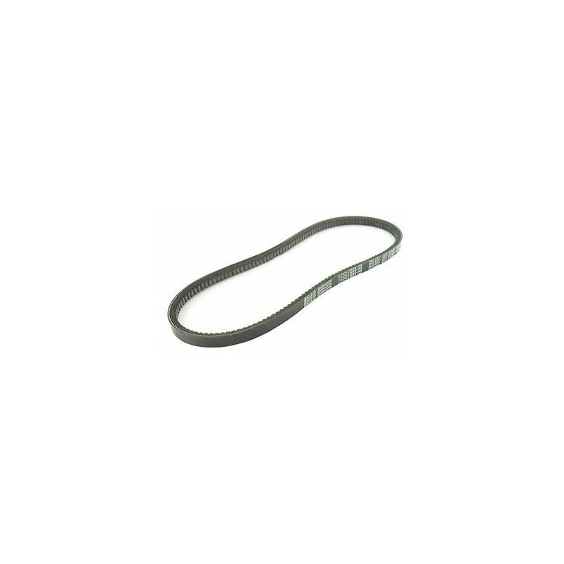 Courroie Trapézoïdale SHAK Aramide Série 5L - 2032 Mm Section 15,88x11 Mm