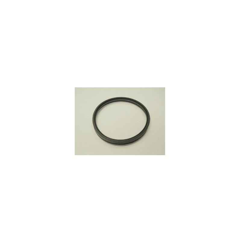 Panier Préfiltre Pour Pompe FIJI Astralpool 4405010002