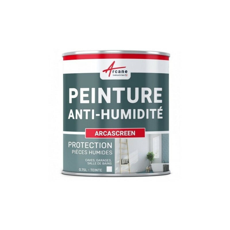 Peinture Anti-humidité 0.75 litre blanc - ARCASREEN