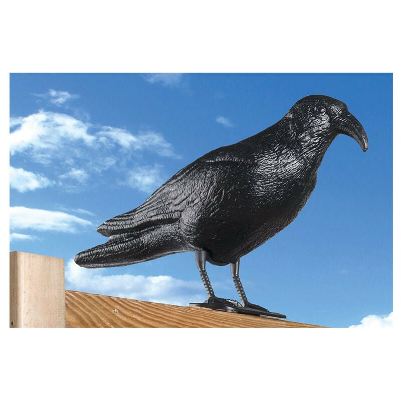 Corbeau de jardin anti-pigeon décoration épouvantail oiseaux alarmistes  figure
