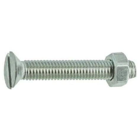 Boulon TF inox A4 5x30 Sécurisac 12 PCE - VYNEX