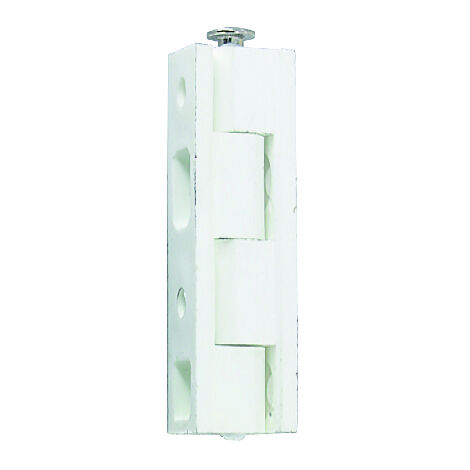 Charnière Nylon Renforcée Blanche 62x40 Mm - Lot De 2, Référence 3882331X2, Marque FP INOX