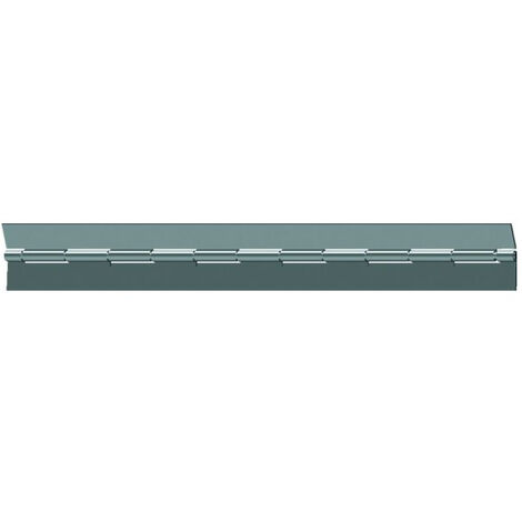 Charnière Piano Inox Forte Robustesse Inox 3mm Continue - Générique (1/2)