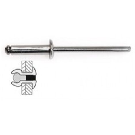 TECHMAN 100 rivets acier / acier à tête plate Ø 3,2 x 10 mm (1/2)