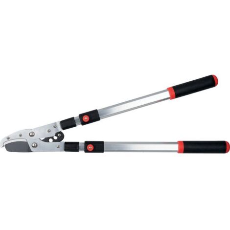 Capvert – Coupe-branches télescopique en aluminium – Système de démultiplication – Lames en acier carbone avec revêtement PTFE – Longueur jusqu'à 1,02 m (1/5)