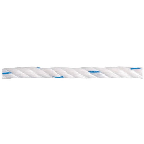 Chapuis DN10 Corde Polyamide Tressée 1,5 T D 10 Mm L 10 M Blanc