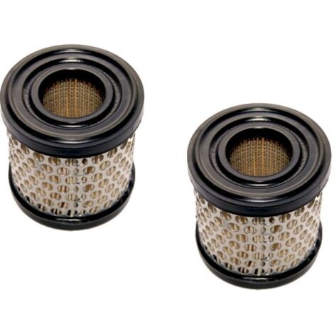Filtre à Air Adaptable Pour Briggs & Stratton: Series 60100, 80200, 80300, 80400, 81200, 81300, 81400, 92900, 93500, 110900, 112 (1/3)