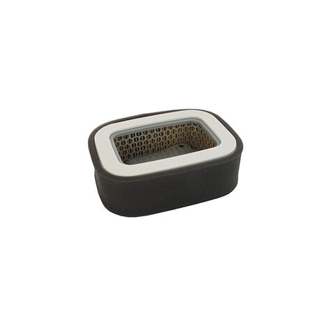 Filtre à Air Adaptable Greenstar 5973 Pour Tronçonneuses Echo CS-280EVL & CS-290EVL - Remplacement Facile