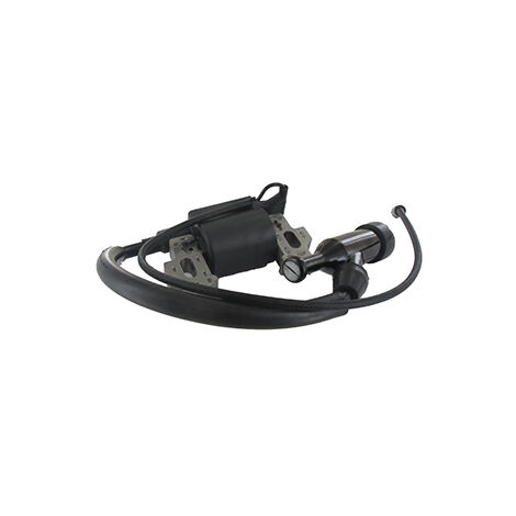 Bobine Et Module D'allumage Adaptés Aux Modèles Loncin G160f, G200f, G200fd, Lc168f-1, Lc168f-2, Lc168f-2h. Origine 270920162-00