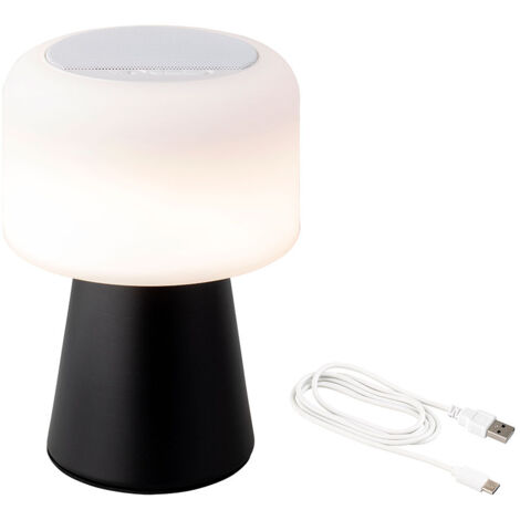 Haut-parleur Led Bluetooth Son Et Lumière Portables - Lumineo (1/2)