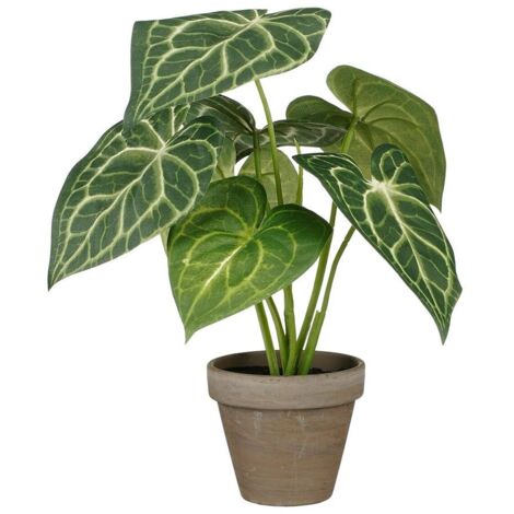 Caladium Artificiel Vert Réalisme Exceptionnel, Sans Entretien - Mica Decorations (1/5)