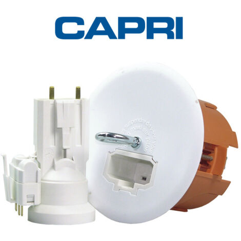 Boîte Dcl + Douille Connexion Luminaire Sécurisée - Eaton-capri (1/2)