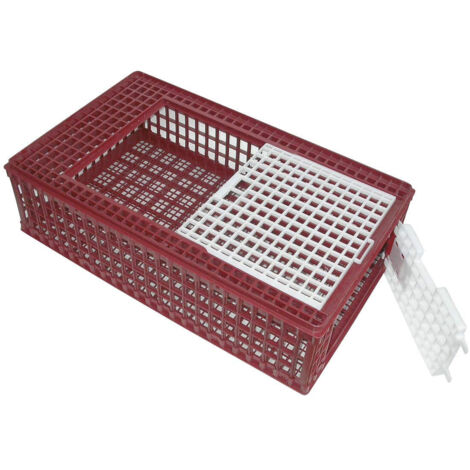 Cage Transport Pvc Volaille Robuste, Hygiénique, Grande Capacité - Générique (1/4)