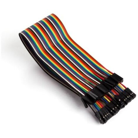 Câble De Liaison 40 Broches 30 Cm Femelle Vers Femelle (câble Plat) (1/4)