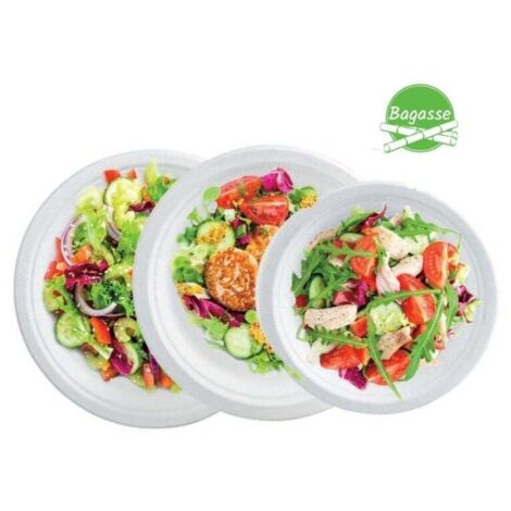 Assiette Ronde Bagasse 18cm écologique Compostable - Générique (1/2)