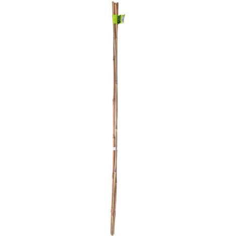 Tuteur Bambou 120cm ép.10/12mm Lot De 3 Pièces - Nortene