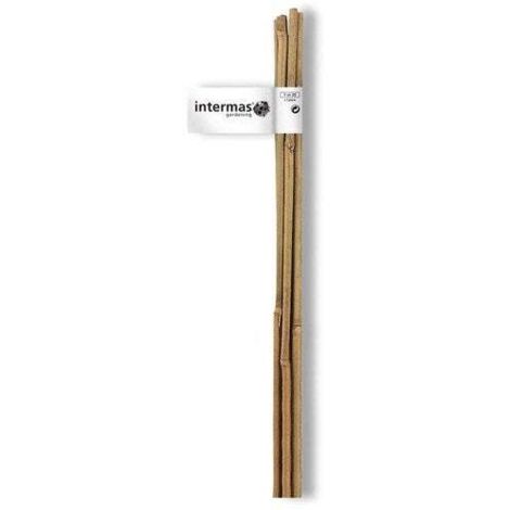 Tuteur Bambou Naturel 150cm ép.10/12mm Lot De 2 Pièces - Nortene