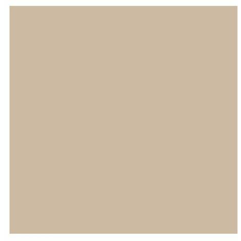 Peinture Acrylique Satin 2.5 Litres Castor - Addict