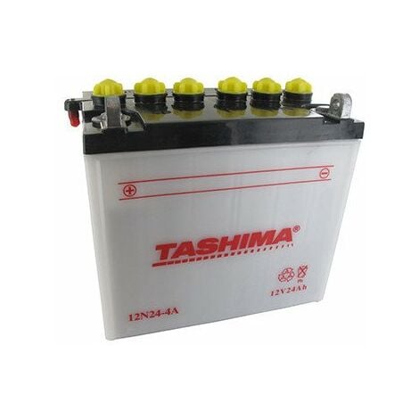 Batterie plomb TASHIMA 12V, 24A L: 184, l: 124, H:175mm, + à gauche pour tondeuse autoportée. (livrée avec acide séparé). - Batt