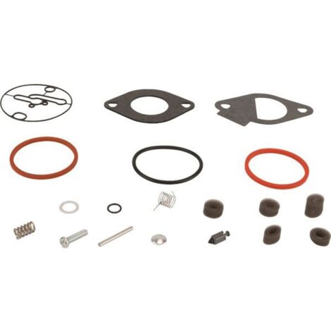 Kit Réparation Carburateur B&s Nikki Rétablit La Performance De Votre Moteur Briggs & Stratton. - Générique