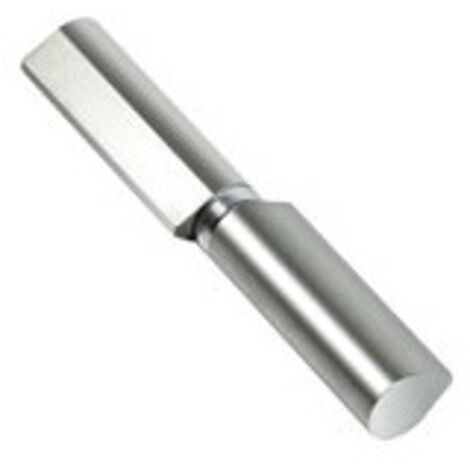 Paumelle à Goutte F564 160mm Pivot Et Roulement Intégrés Pour Fluidité - Tamron (1/2)