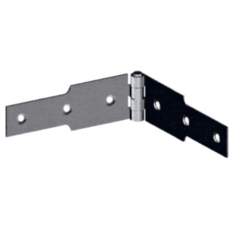 Charnière à Congés 40x250 Fixation Robuste Pour Portes Et Portillons - Générique (1/2)