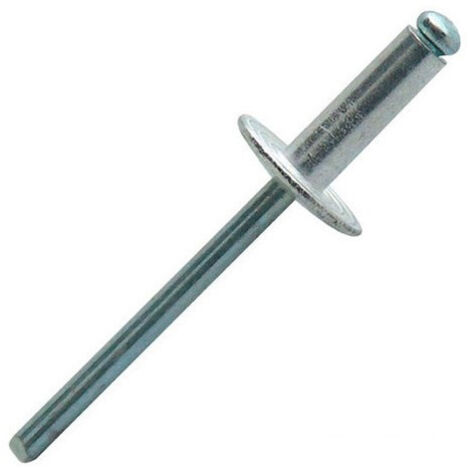 Scell-It – Boîte de 250 rivets aveugles tête large en alu/acier – 4.8 mm de diamètre – 10 mm de longueur – Norme DIN7337 – ASL4810