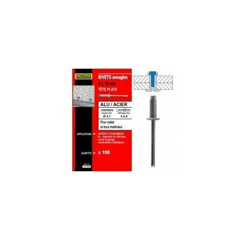 TECHMAN 100 rivets alu / acier à tête plate Ø 4,8 x 12 mm (1/4)