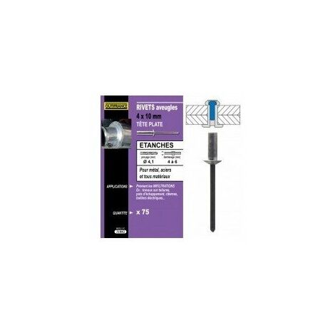 TECHMAN 100 rivets étanches alu/acier (tête plate) Ø 3,2 x 8 mm