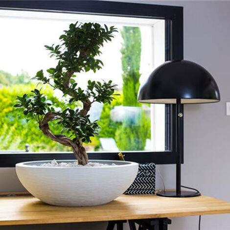 Vasque graphite gris anthracite 39 litres diam 59cm - EDA