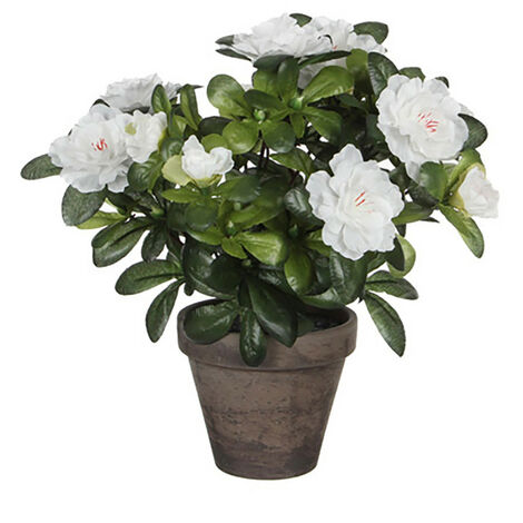 Azalée Artificielle Blanche Beauté Florale Sans Entretien En Pot Gris. - Mica Decorations (1/2)
