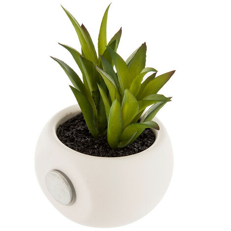Atmosphera – Mini plantes décoratives avec aimant – Assortiment de modèles – Plantes vertes artificielles pour décoration intérieure – Base magnétique facile à utiliser