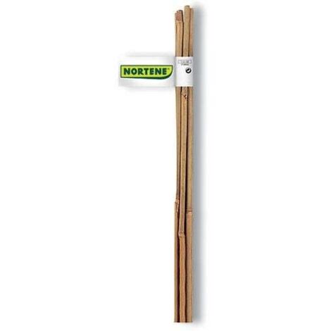 Tuteur Bambou 180cm D12/14mmx - Nortene