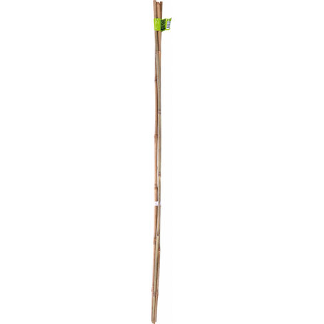 Nortene Ensemble de tuteurs en bambou brun 0,6 m 6 pcs