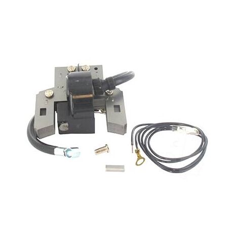 Bobine d'allumage BRIGGS ET STRATTON – Entraxe de fixation 58,7 mm – Remplace les références 397358, 697037, 395491 – Adaptable sur modèles 5 cv